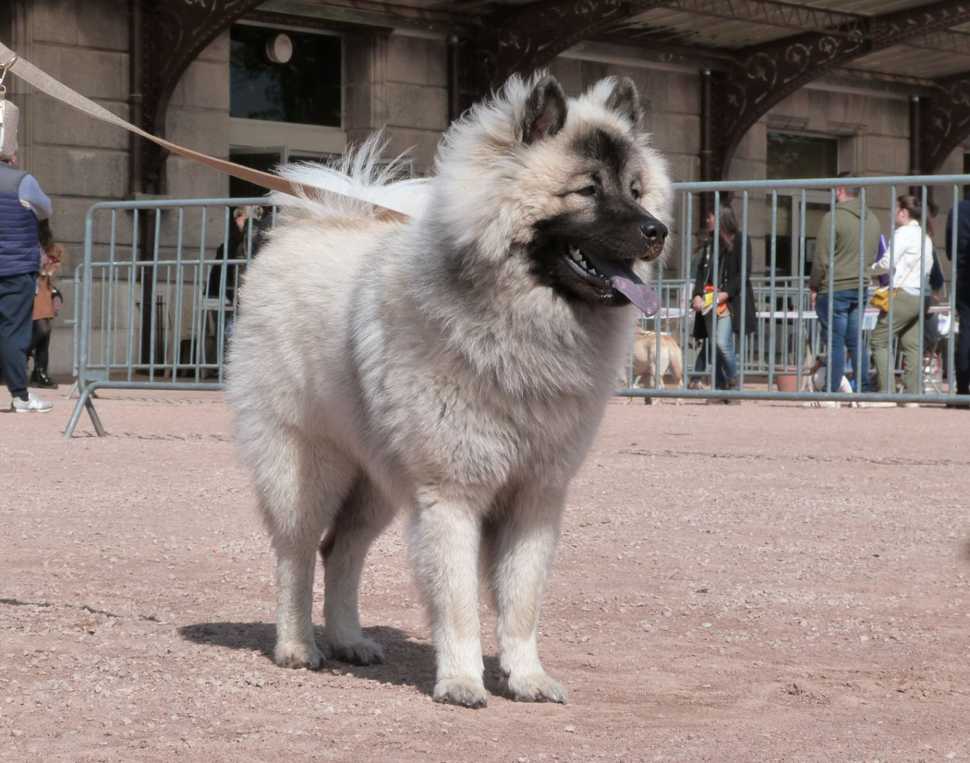 Usko Des Terres Sacrées De Riam