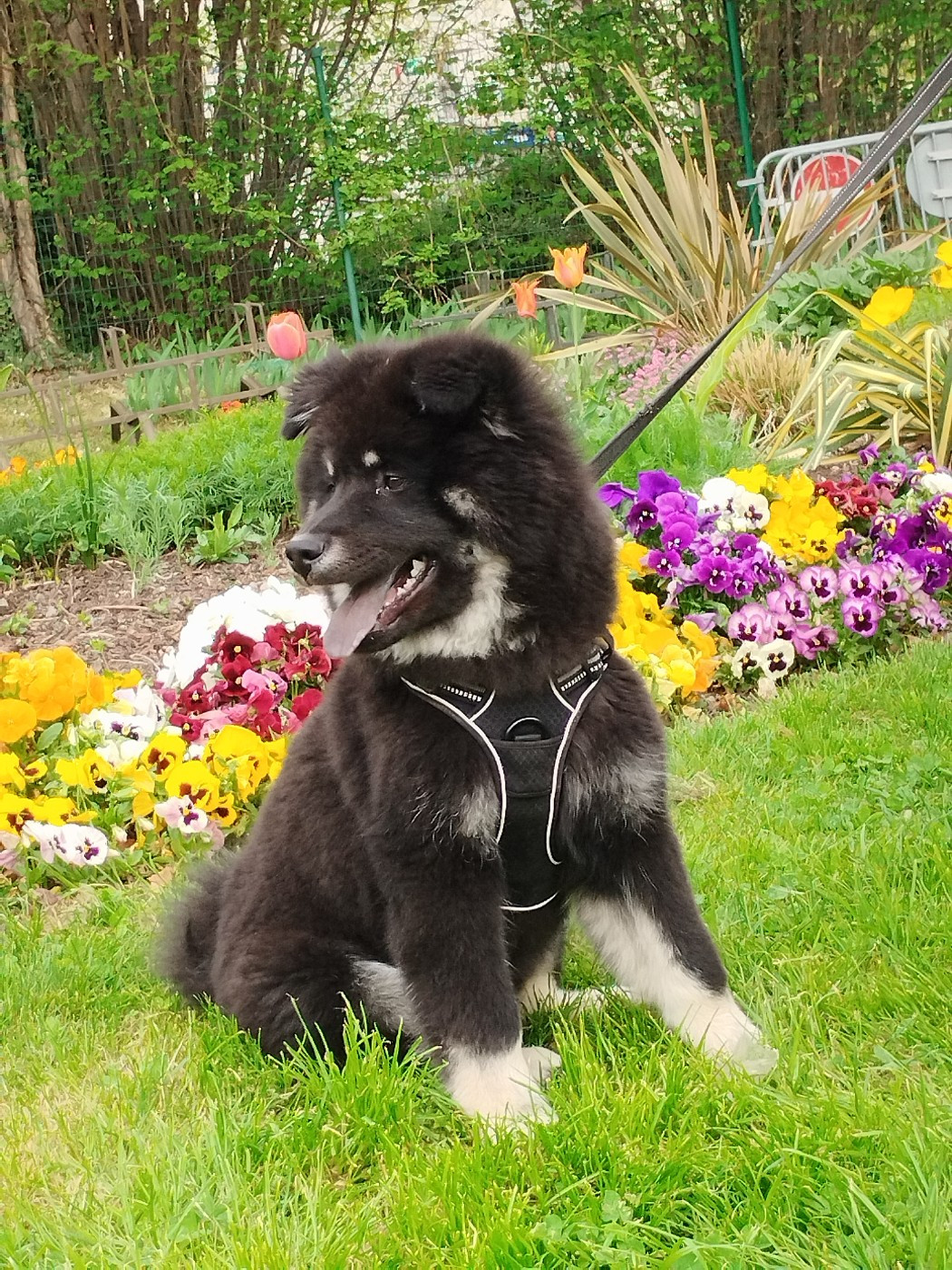 Vacilia Meika Des Terres Sacrées De Riam