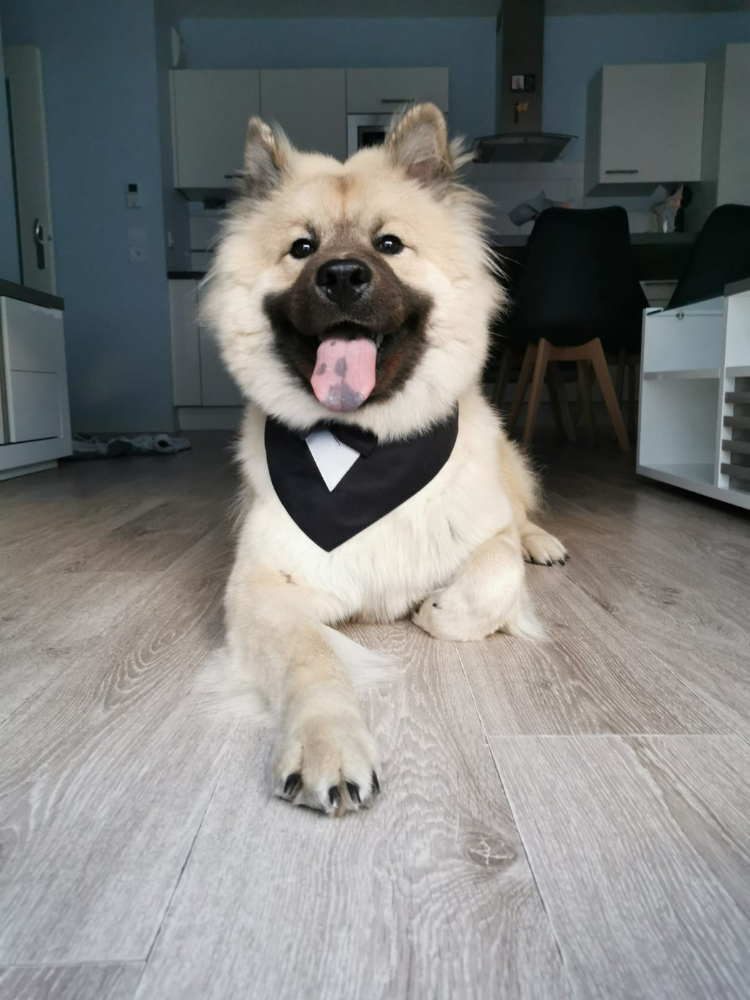 U'Copain Des Terres Sacrées De Riam