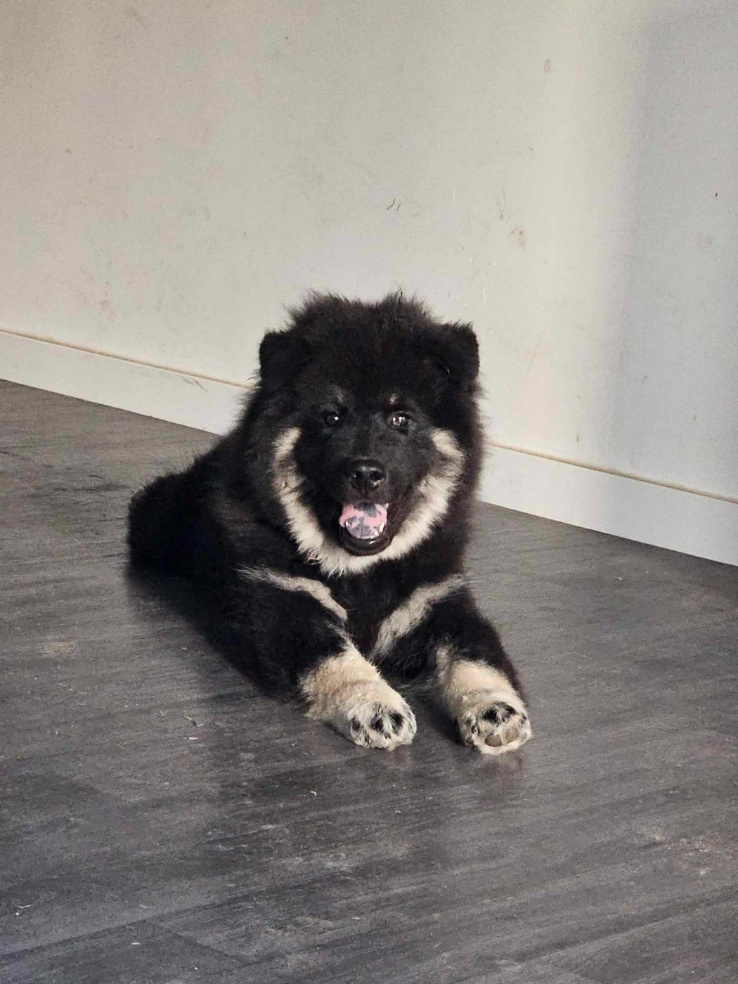 Ulkan Des Terres Sacrées De Riam